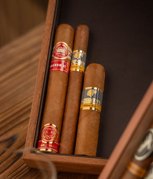 The Global Explorer's Selection - nextCIGAR