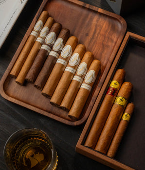 Trinidad x Davidoff's Finest Elegance Bundle - nextCIGAR