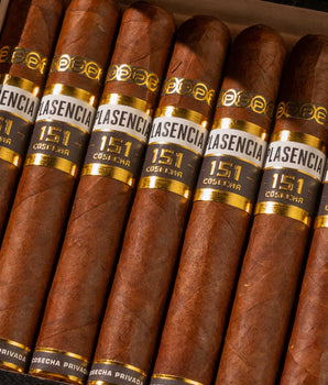 Plasencia Cosecha 151 La Tradición - nextCIGAR