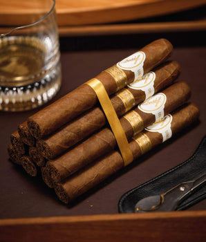 Davidoff nextCIGAR Exclusive 2022 Cigar Bundle (10 Cigars)