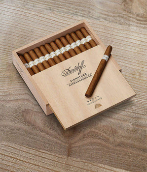 Davidoff Signature Ambassadrice