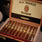 Alec Bradley Tempus Natural Terra Novo