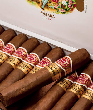 Romeo y Julieta Short Churchills