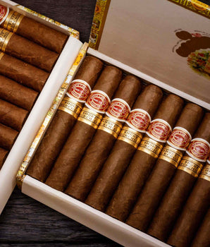 Romeo y Julieta Short Churchills