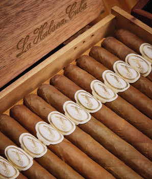 Davidoff Cuban No. 1 (Vintage Cuban)