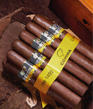 Cohiba Siglo VI