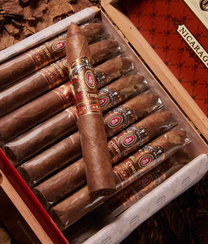 Alec Bradley Tempus Nicaragua Torpedo