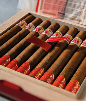 Hoyo de Monterrey Primaveras Year of the Ox 2021